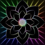 black-lotus