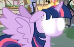 twilight-is-annoyed